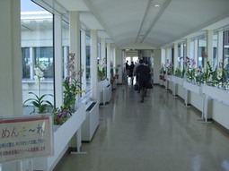 2008.11.08 沖縄県教育庁